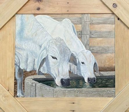 Conquer the Corrugations Brahman Painting: Country Strong
