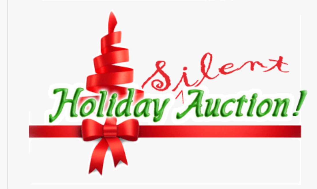 SunRanges Twins Plus Inc. Online Holiday Silent Auction🎄