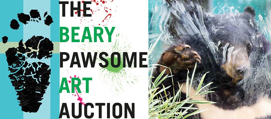 BEARY PAWSOME Art Auction