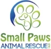 small paws